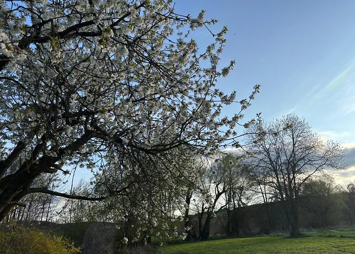 Casa Cittadella Mimi 公寓 *